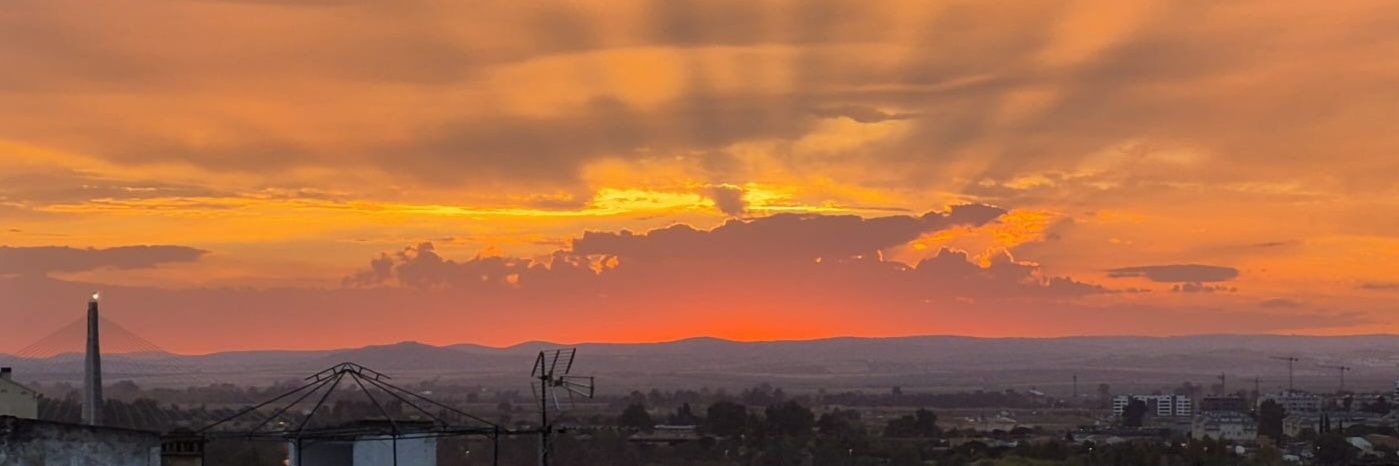 lousangros's profile banner image