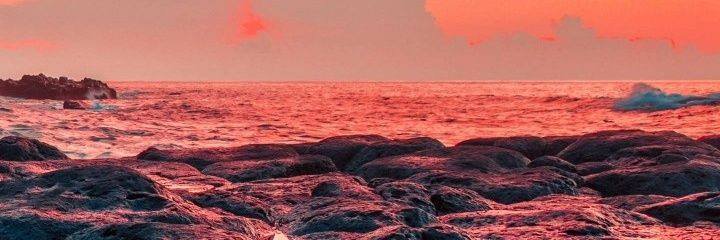 ehabbobo72's profile banner image