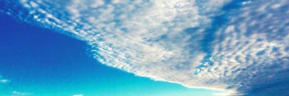 maaaco_cnu's profile banner image
