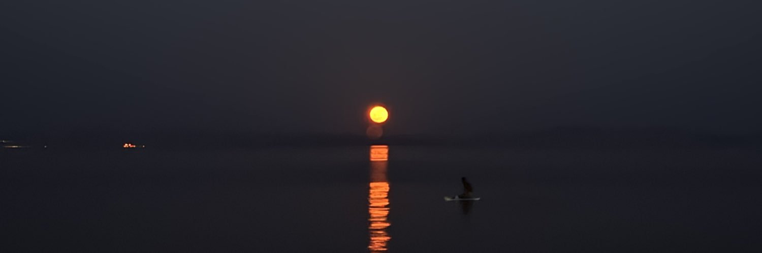 Why_ARA6's profile banner image