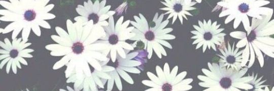 DiniRhmhh_'s profile banner image