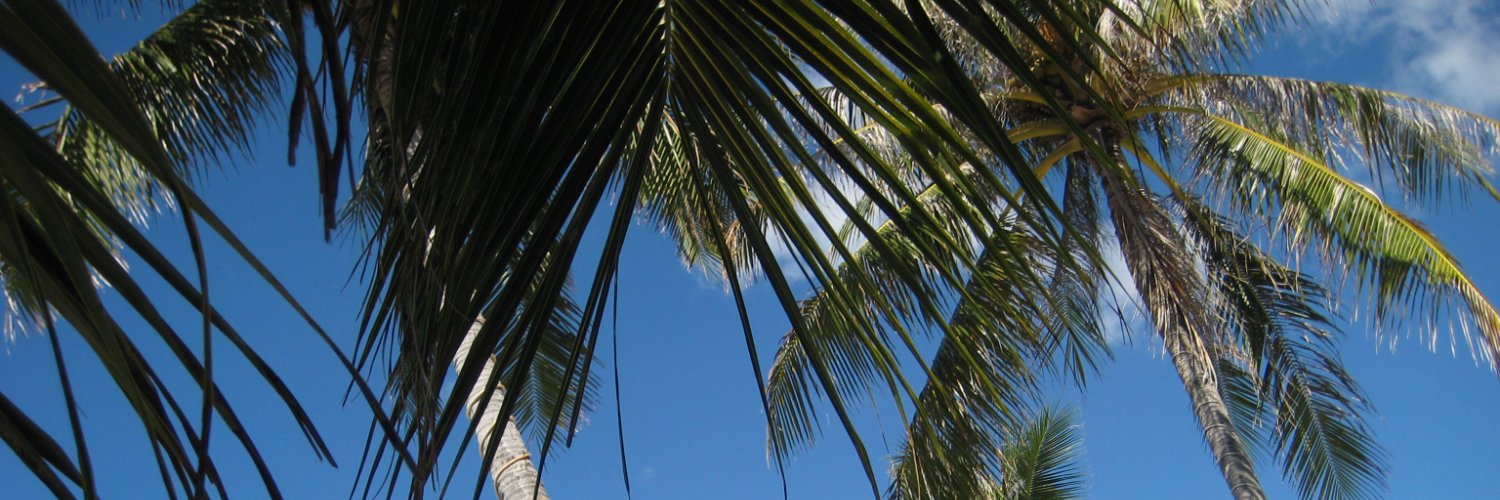 ferrand_florian's profile banner image