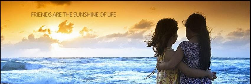 AuroraCPera's profile banner image