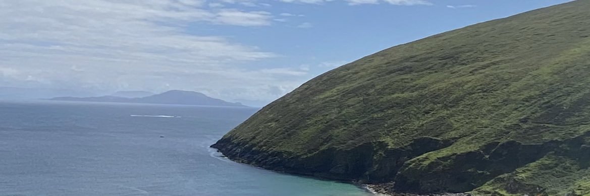 Nathasa Bedingfield banner