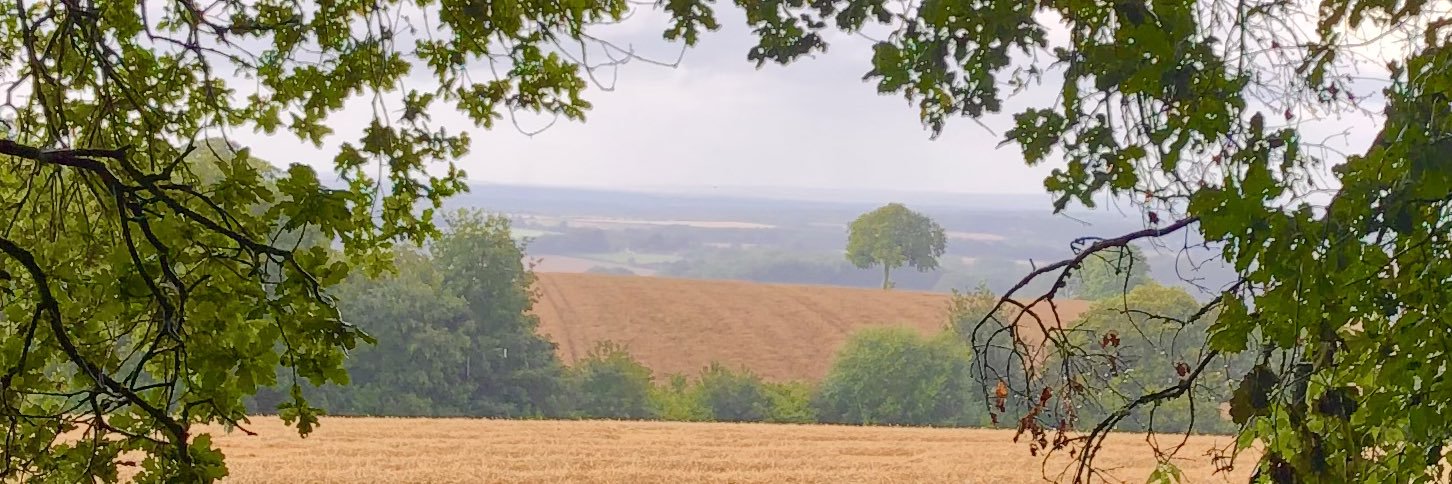 HLMeadows's profile banner image