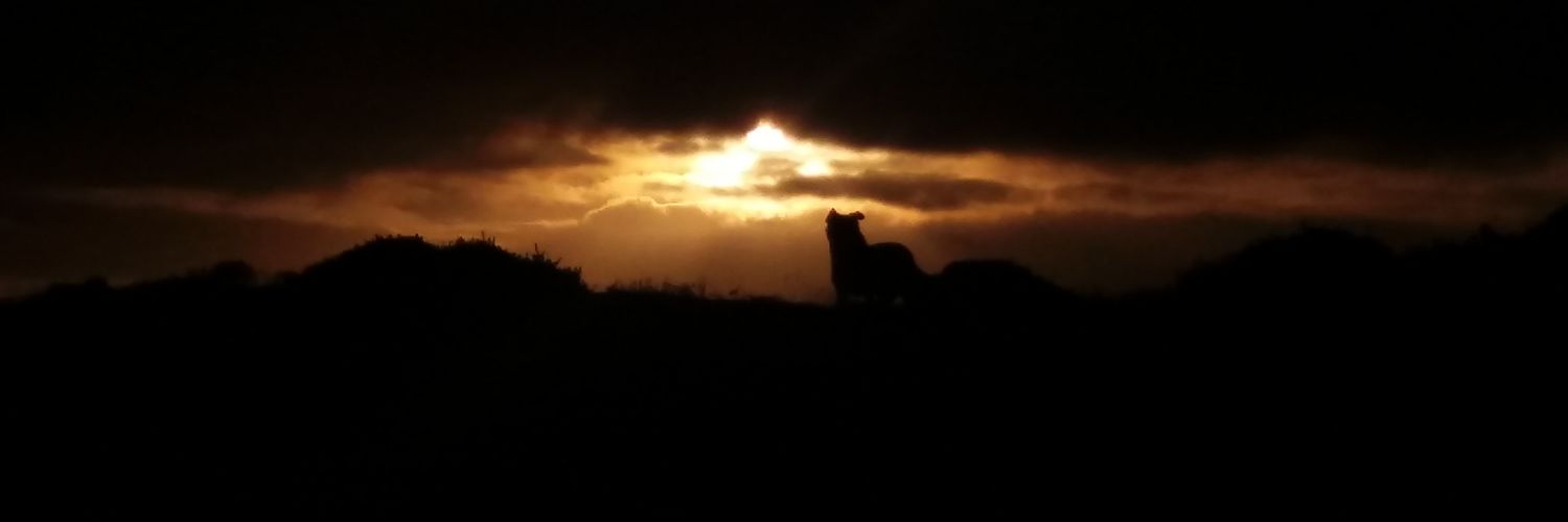 Still Sam banner
