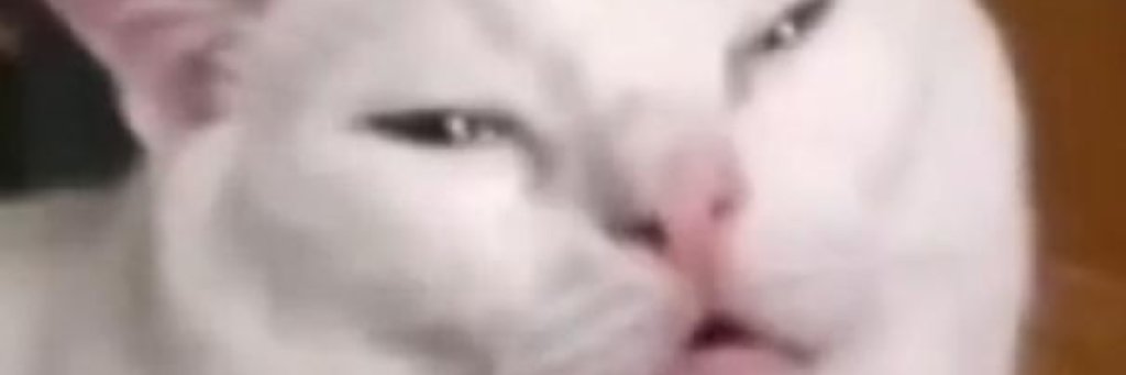 Aaron Ritchie banner