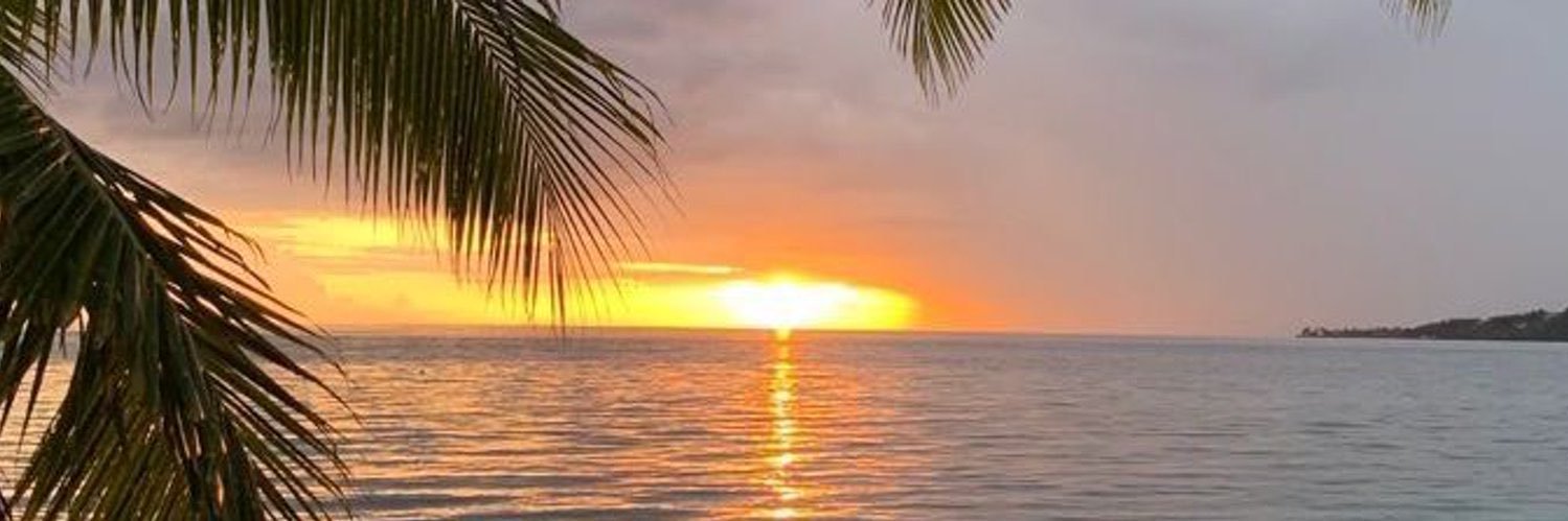mia2553's profile banner image