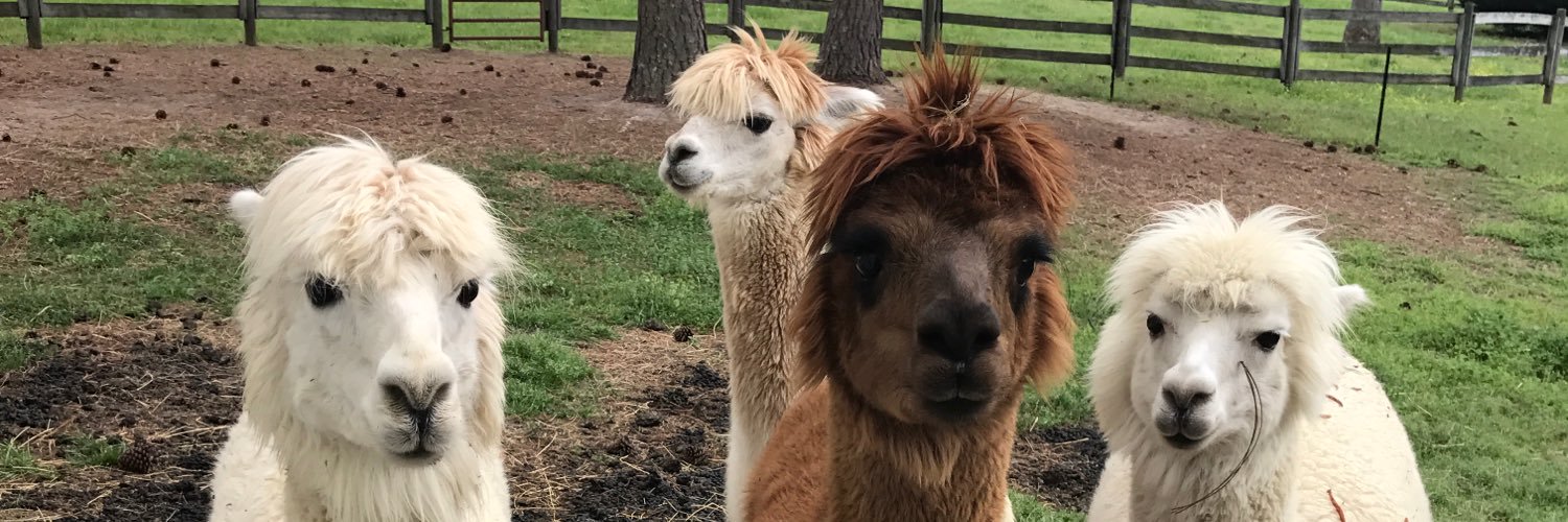 nfrouse2's profile banner image