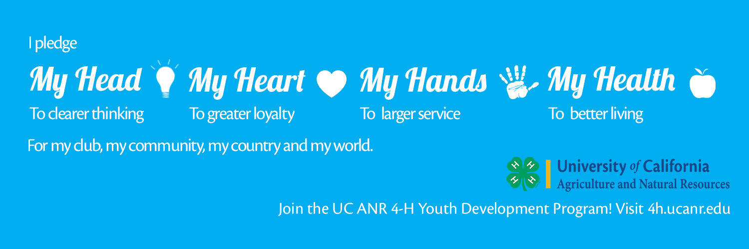 Nevada County 4-H banner