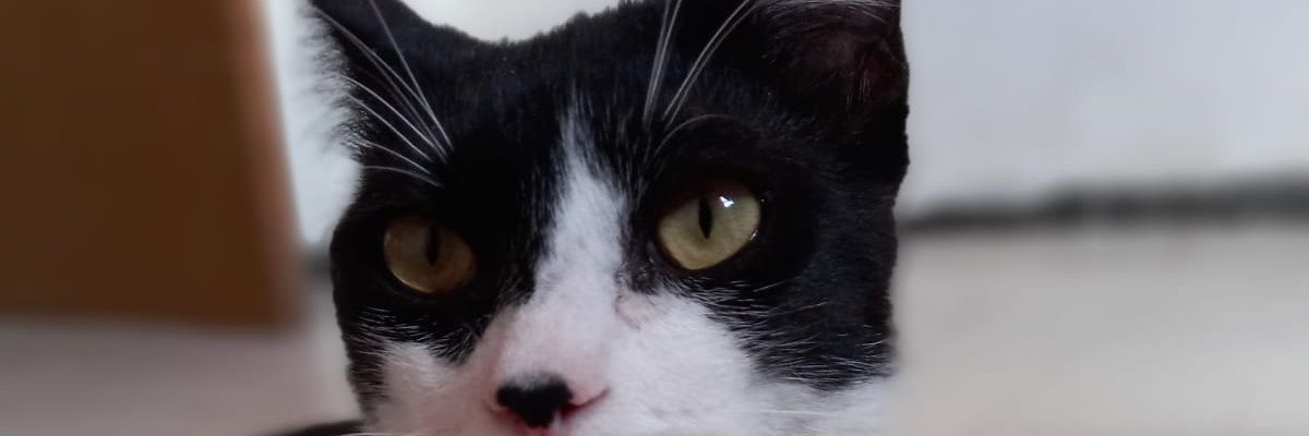 mam6464's profile banner image