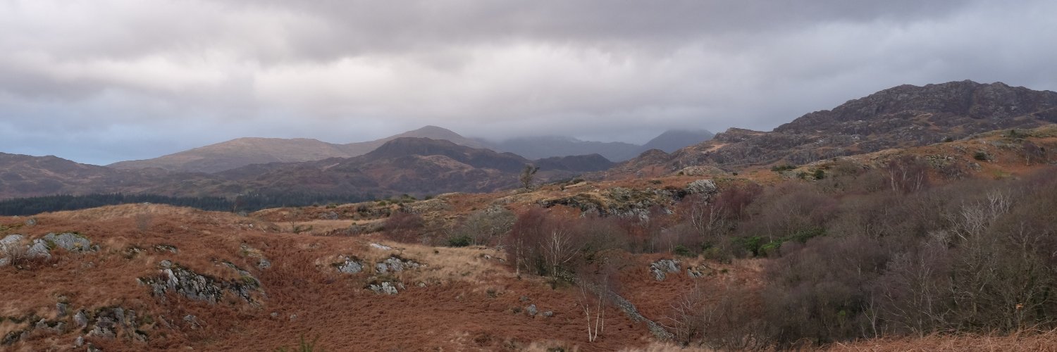 Nicholas Haslam banner