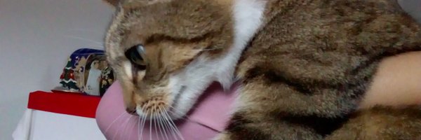 NinnaIsberg Profile Banner