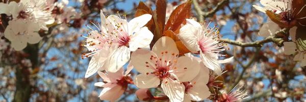 etsiamnupv Profile Banner