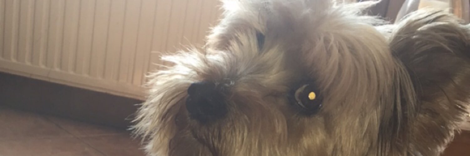 Kelsey banner