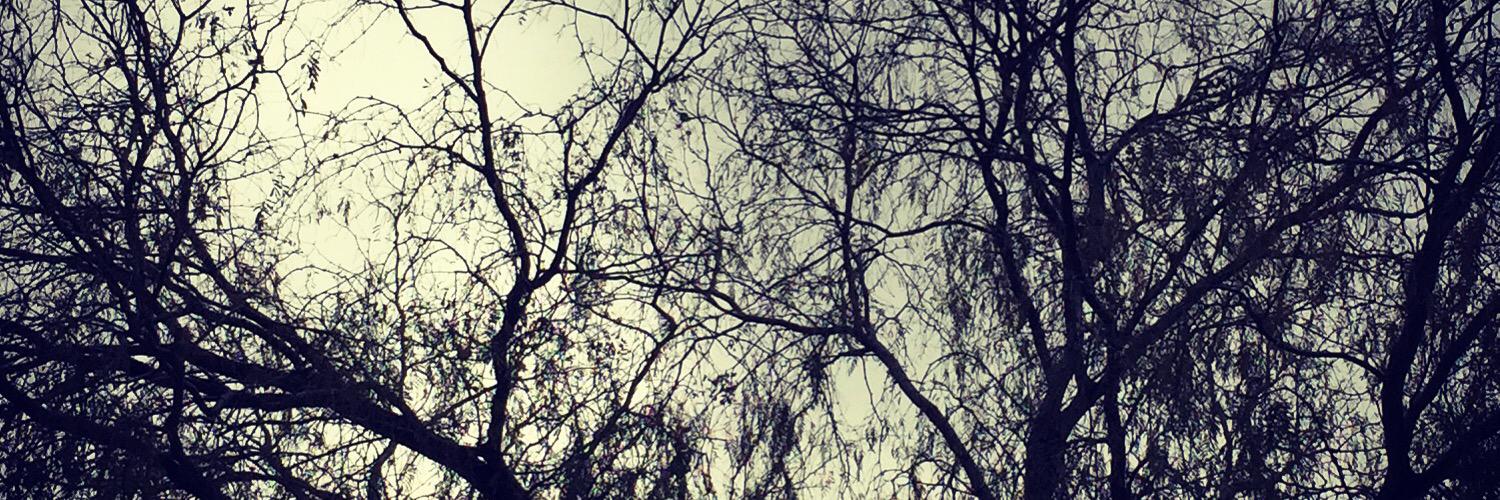 APerez_PR's profile banner image