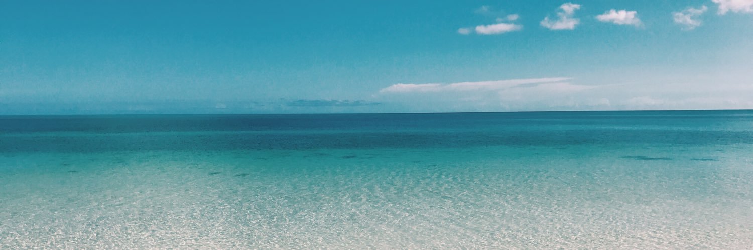 nicolehandrigan's profile banner image
