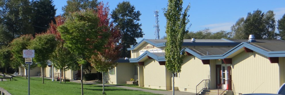 NewtonESchool's profile banner image