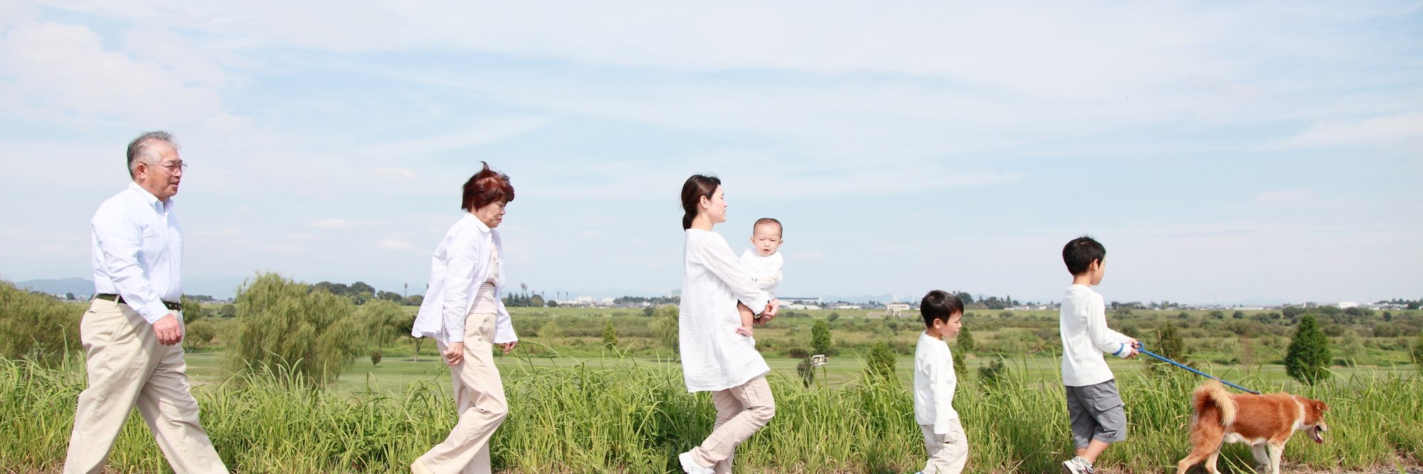 TaiheiSyoji's profile banner image