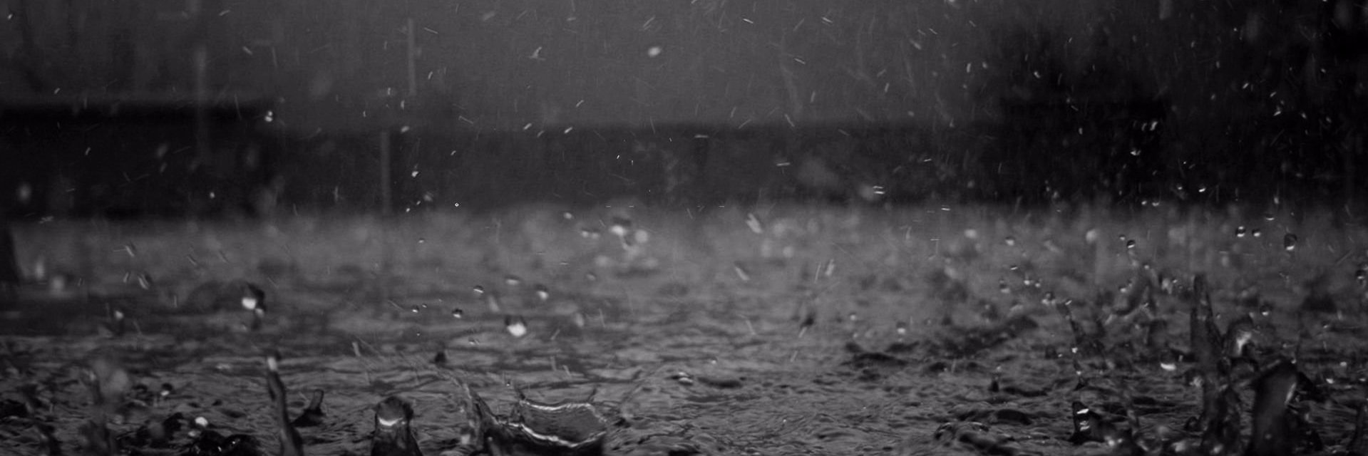 pressak_'s profile banner image