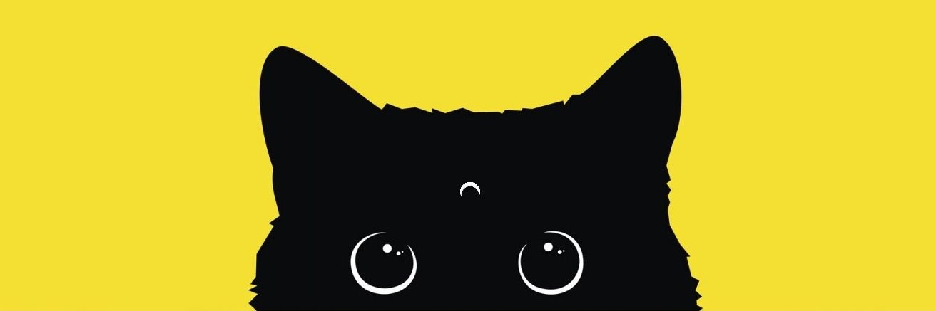 SrtaRadioactive's profile banner image
