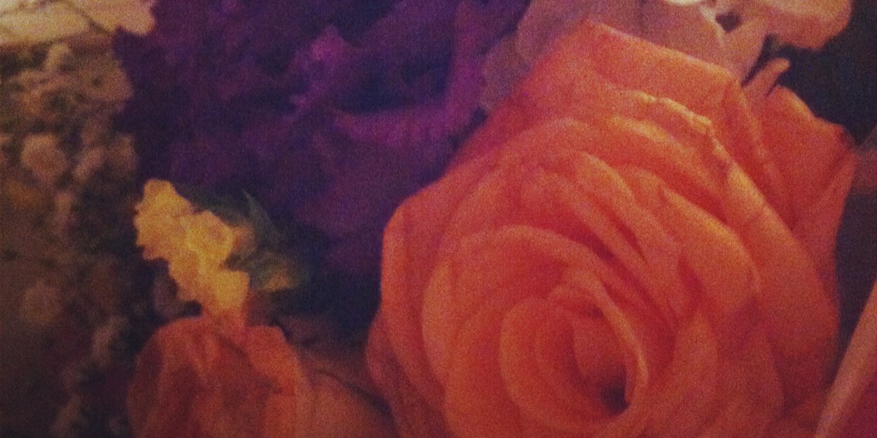 Barbara_ilil's profile banner image