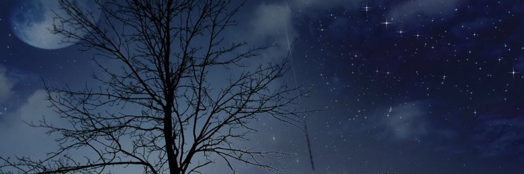 ShowtimeEmir's profile banner image