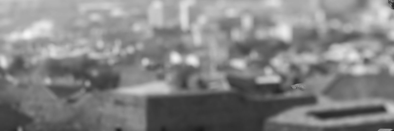 hsnarikk's profile banner image