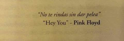 Patricia Aparicio banner