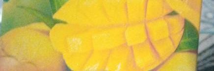 Arabella_Koki's profile banner image