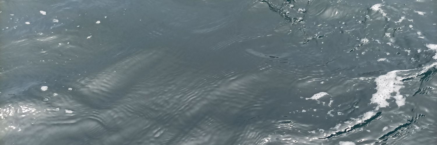luestradac's profile banner image