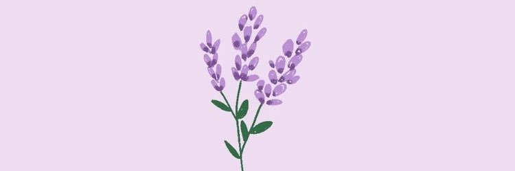 _nicoleubing's profile banner image