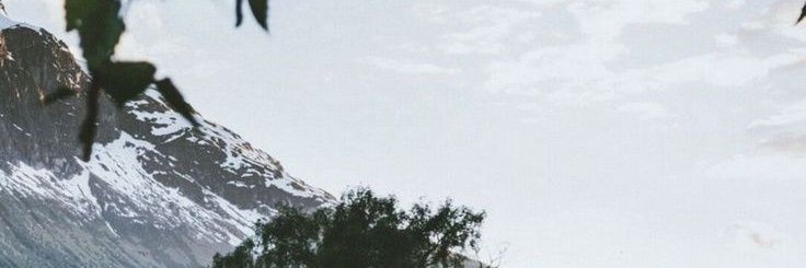 maja_amto's profile banner image