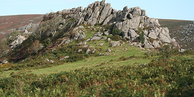 LHazelcott's profile banner image