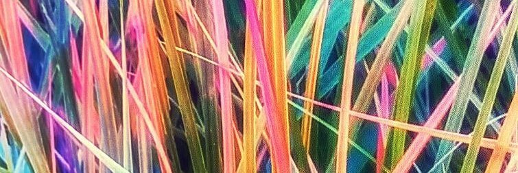 floresbyMES's profile banner image