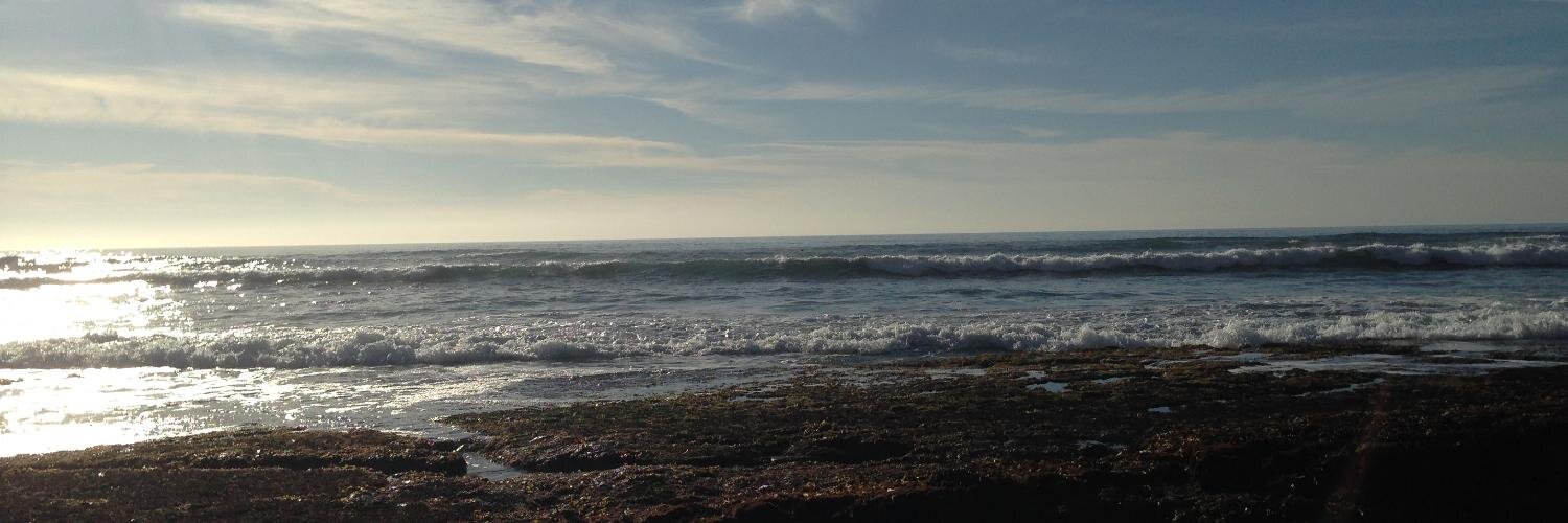 Michael Holdmann banner