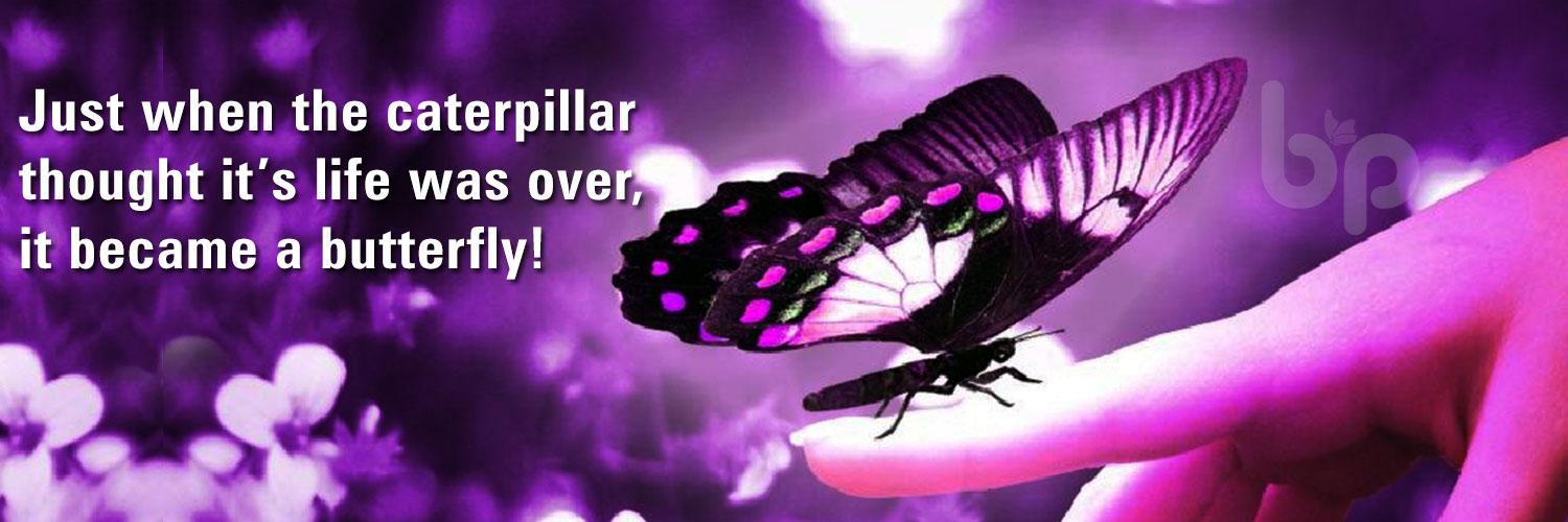 TheBloggerPearl's profile banner image
