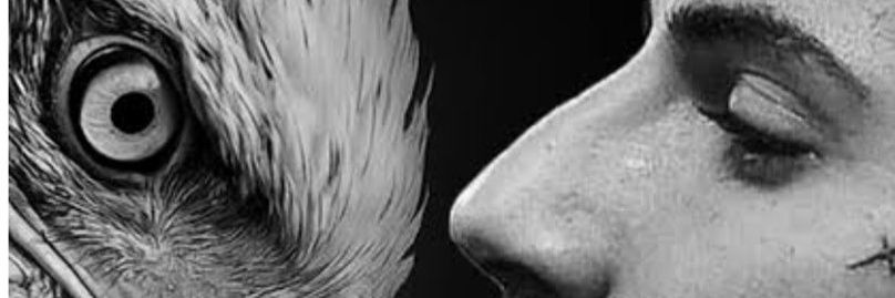 evo banner