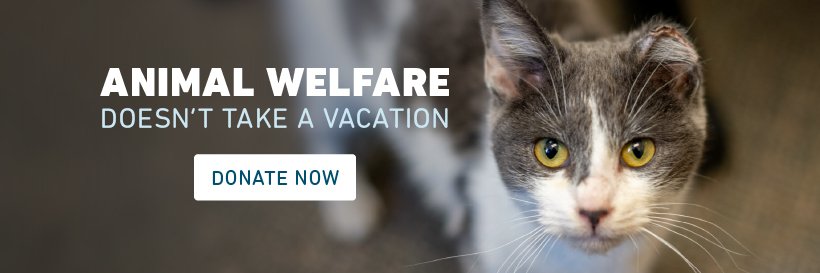 Animal Humane Society banner