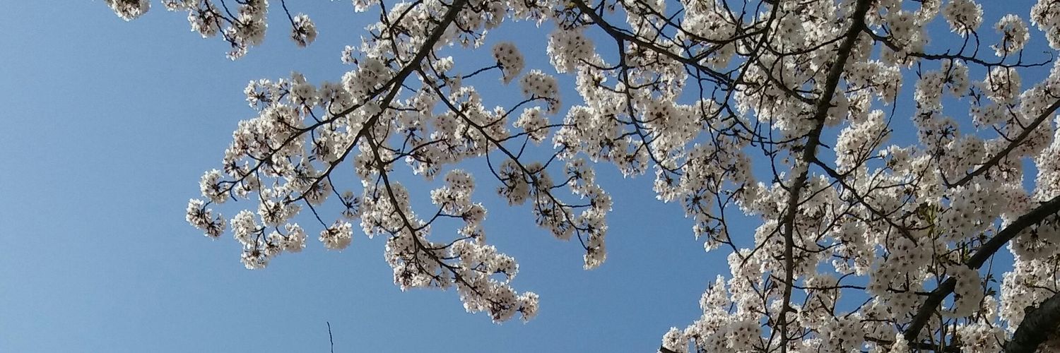 ClostridiumAG's profile banner image