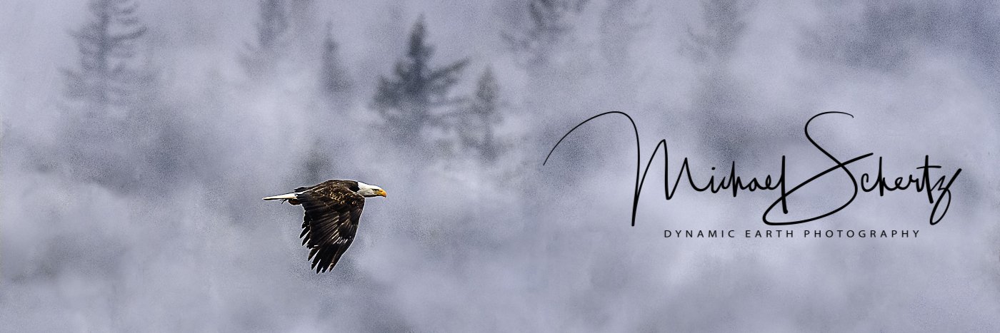Dynamic_Earth's profile banner image