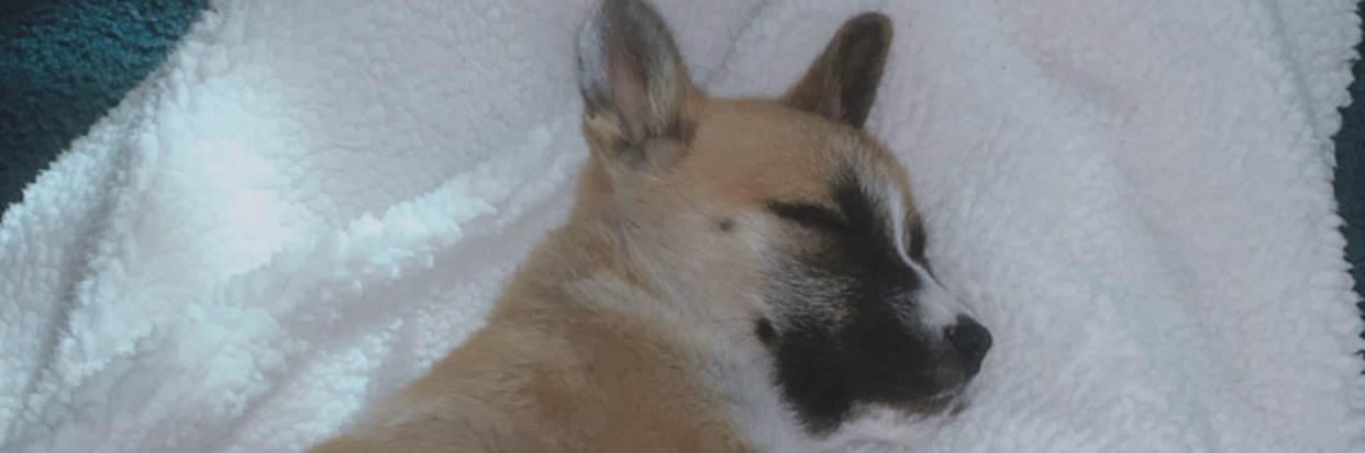 virginialayla's profile banner image