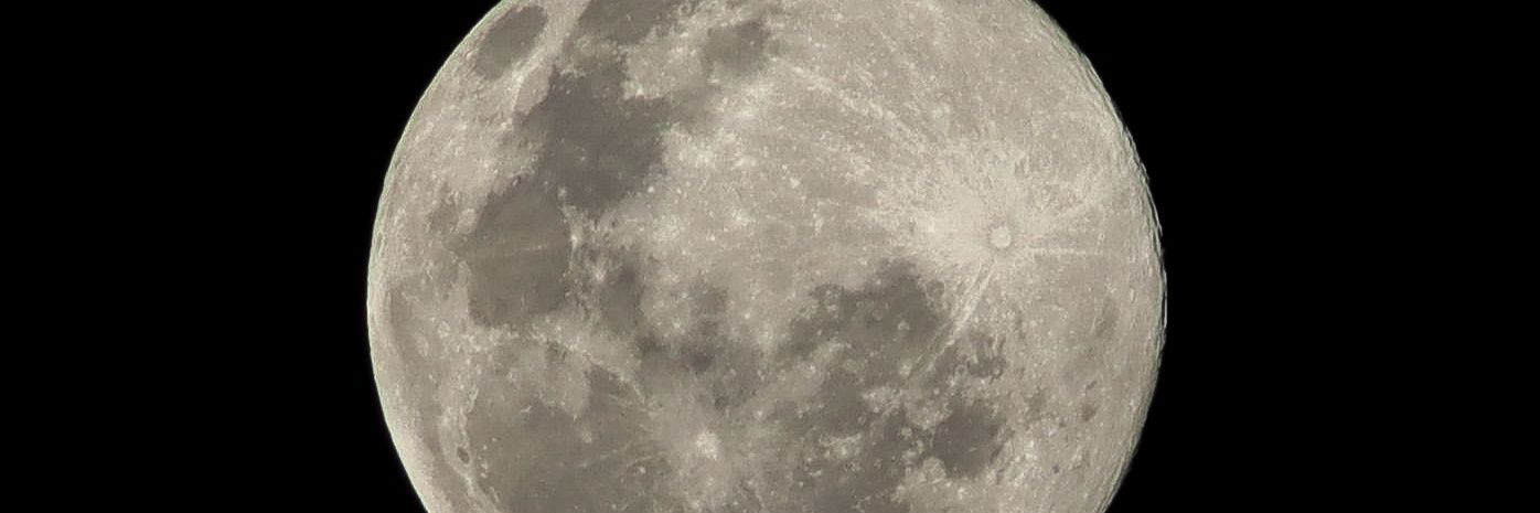 madesolanon's profile banner image