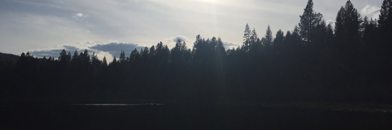 Courtneythecat_'s profile banner image