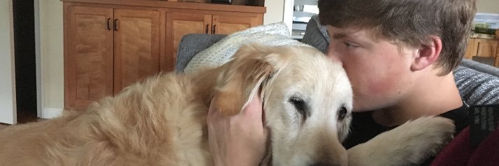 BendyFranks's profile banner image