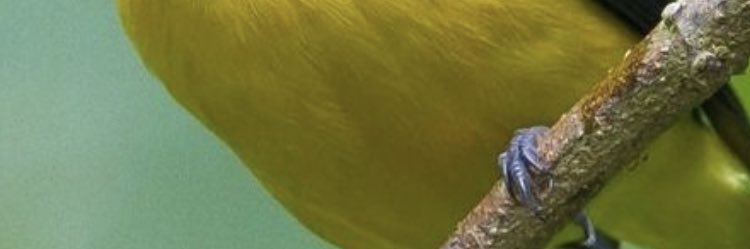 brbrbr313131's profile banner image