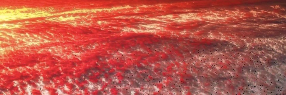 AktionT4MD's profile banner image