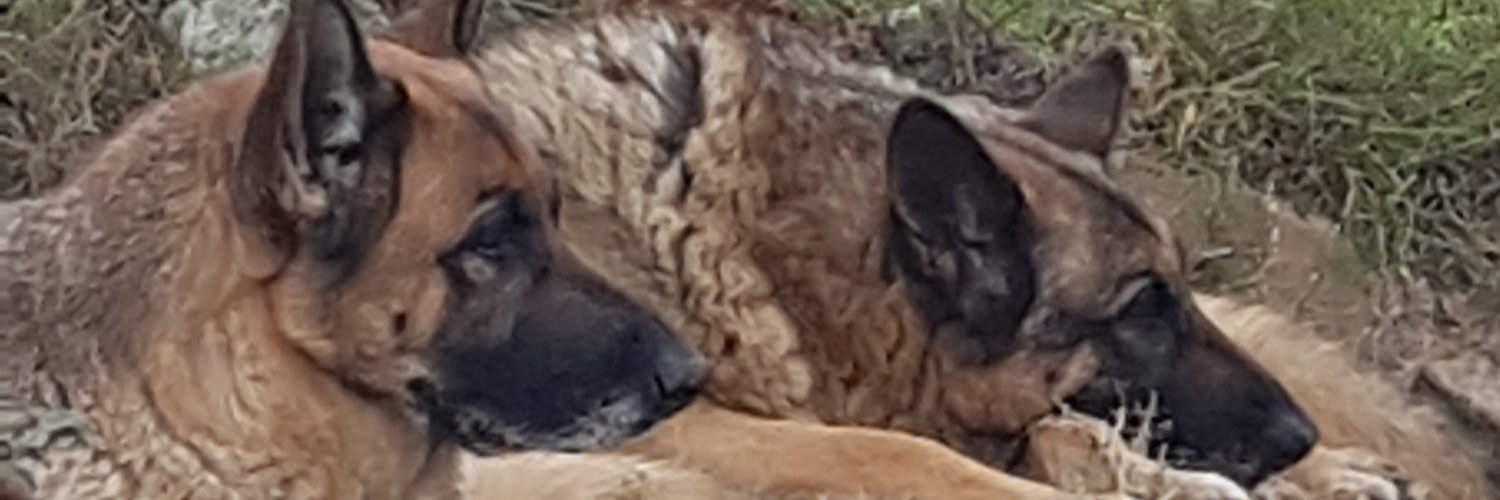 javo_uy's profile banner image
