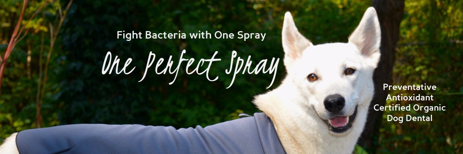 OnePerfectSpray's profile banner image