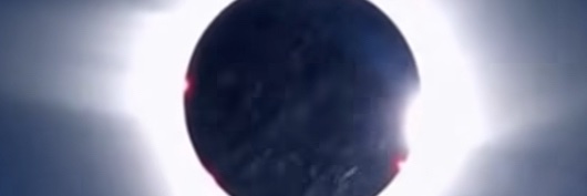 Saicoconuts's profile banner image